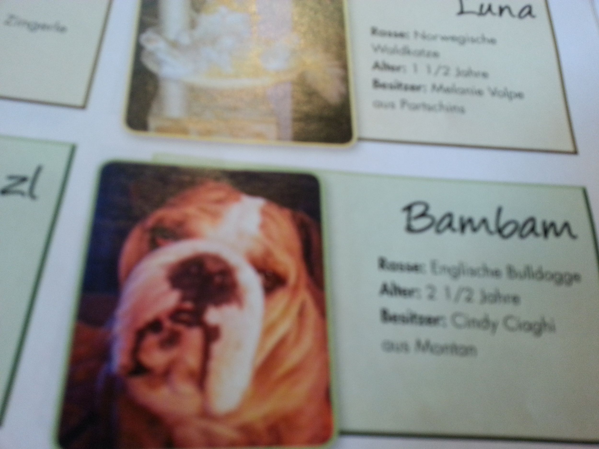 Bambam.jpg