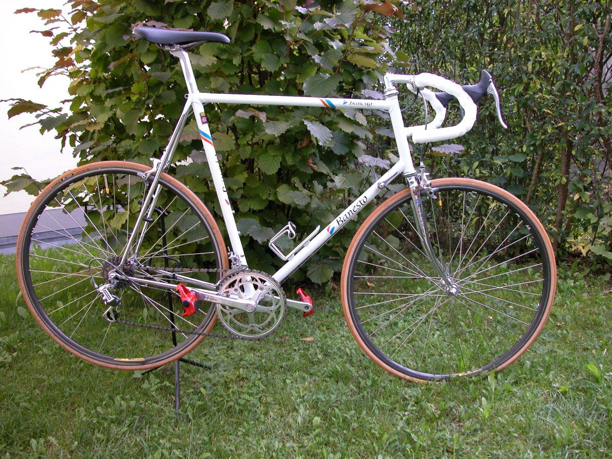Banesteo 022.jpg