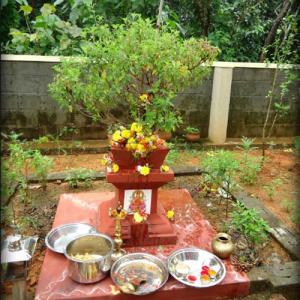 basil-puja-to-increase-wealth-and-prosperity-in-home-1-21351-aps-puja1.jpg