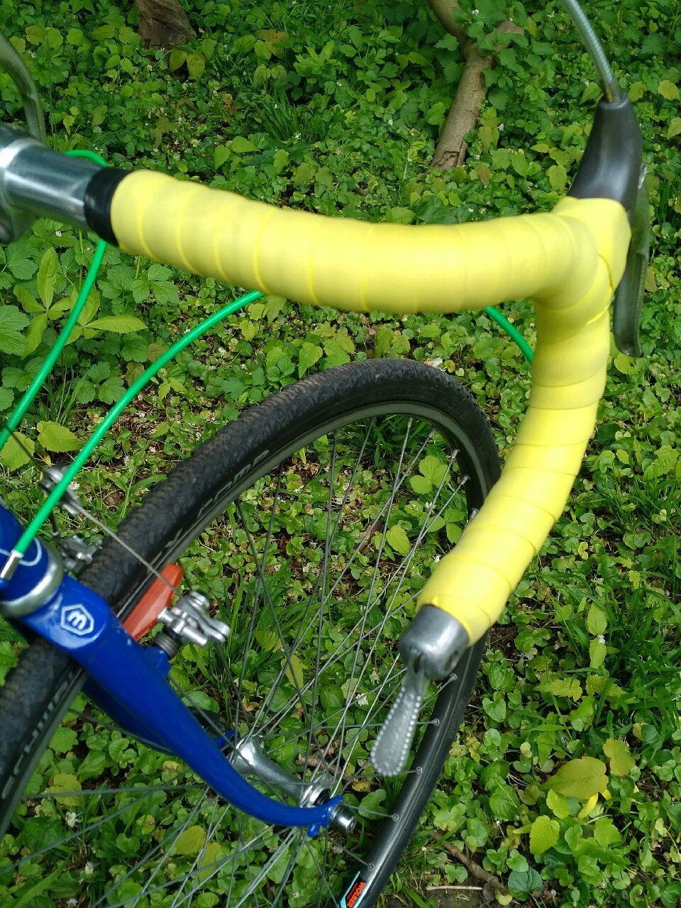 Basso Crosser Golden Arrow 00003.jpg