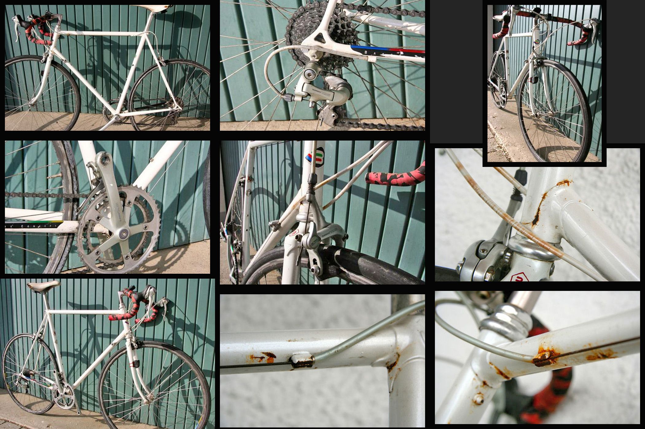 Basso.jpg