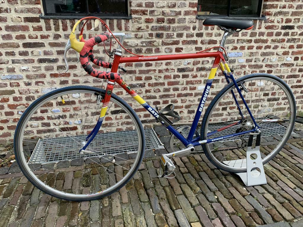 batavus-cc-11.jpg