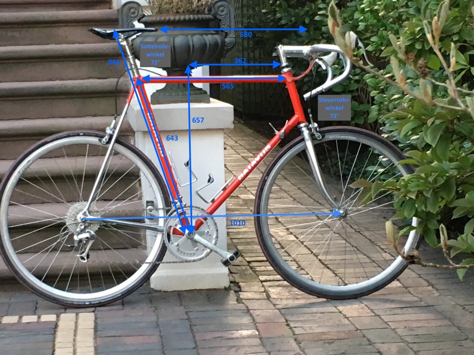 Batavus_bemasst.JPG