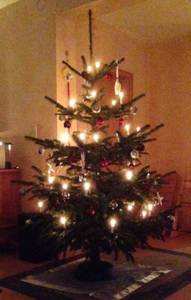 baum.JPG