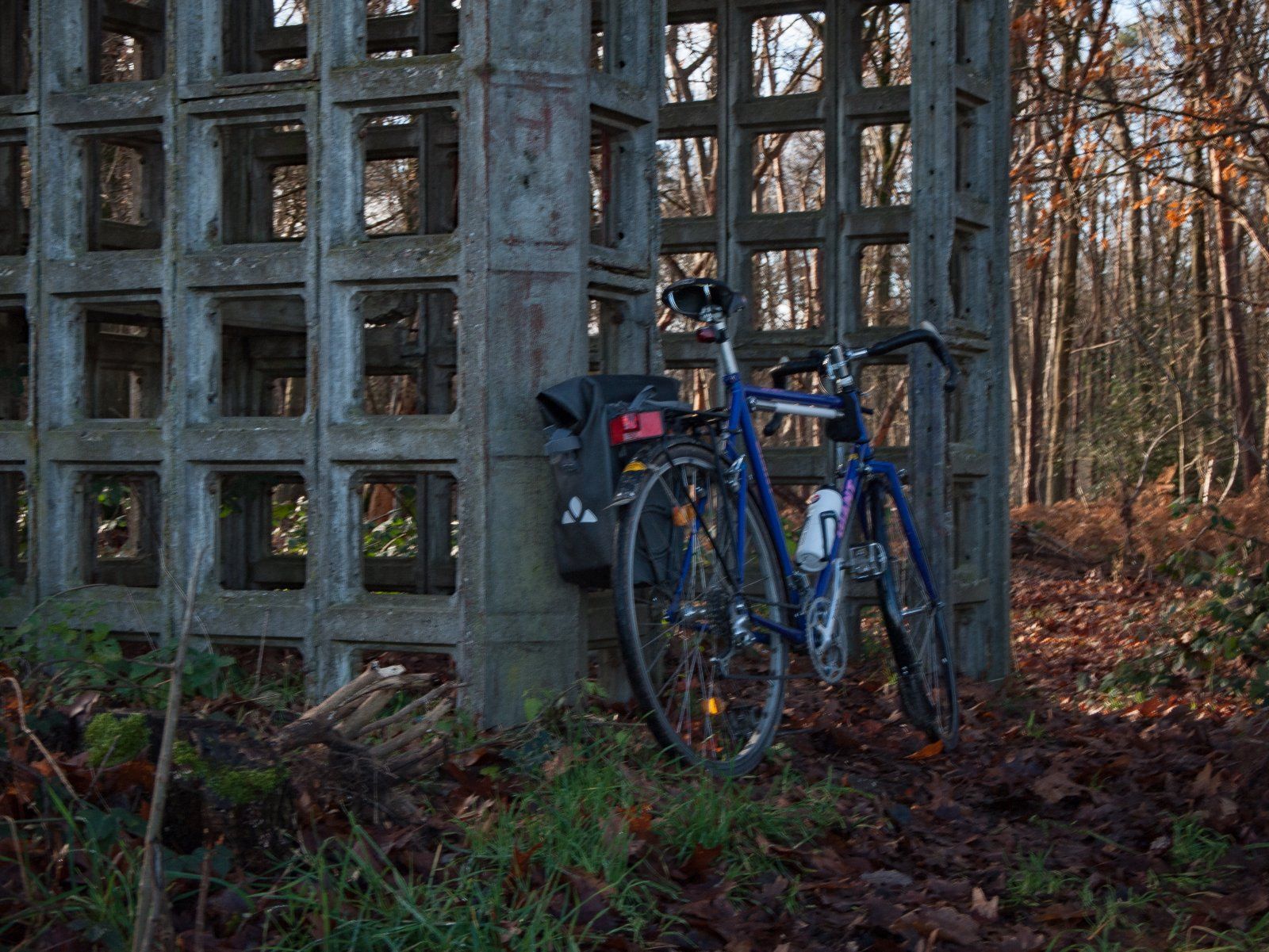 Beobachtungsturm bei Echterheide 2.jpg