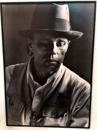 beuys - Elisabetta-Catalano-allo-stand-Massimo-Minini-Artissima-Torino-7.jpg