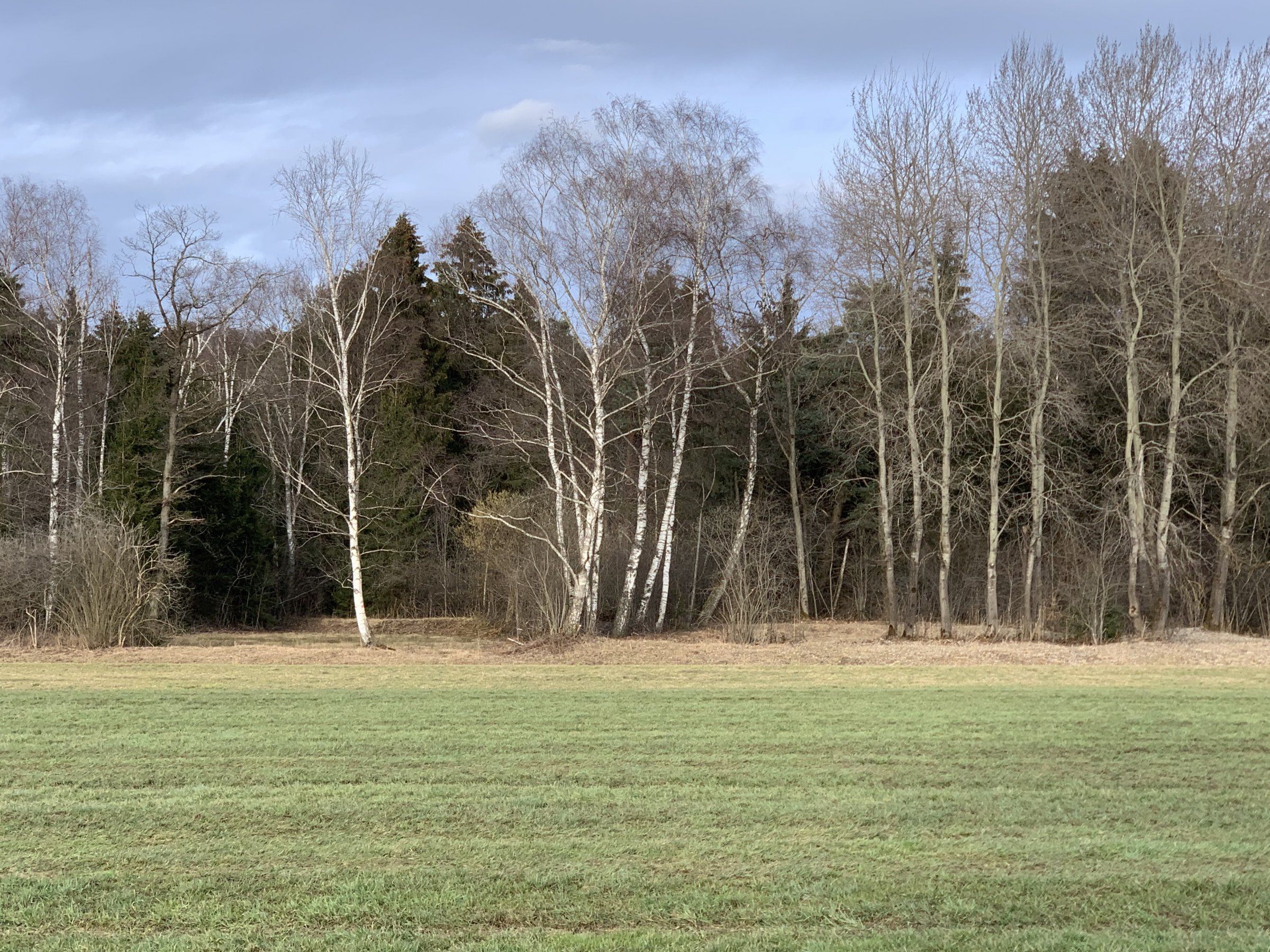 BFB31F75-3C0C-42F1-810A-189D62B0EDF2.jpeg