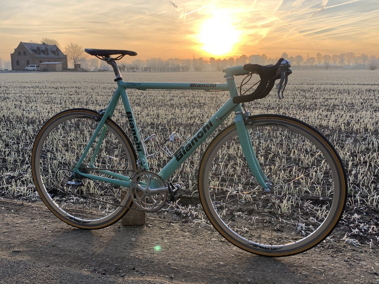 Bianchi 22.12.21.jpeg