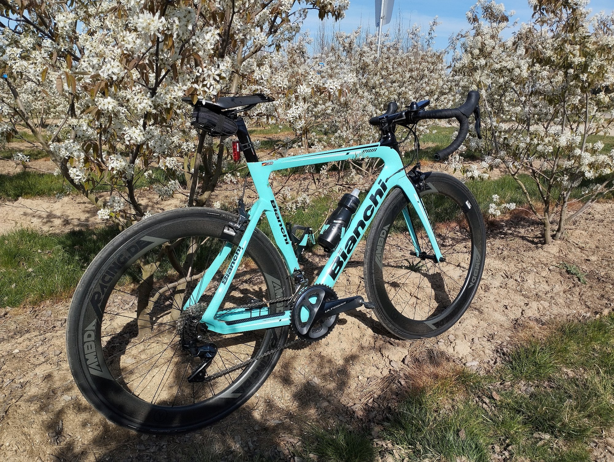 Bianchi 3.jpg