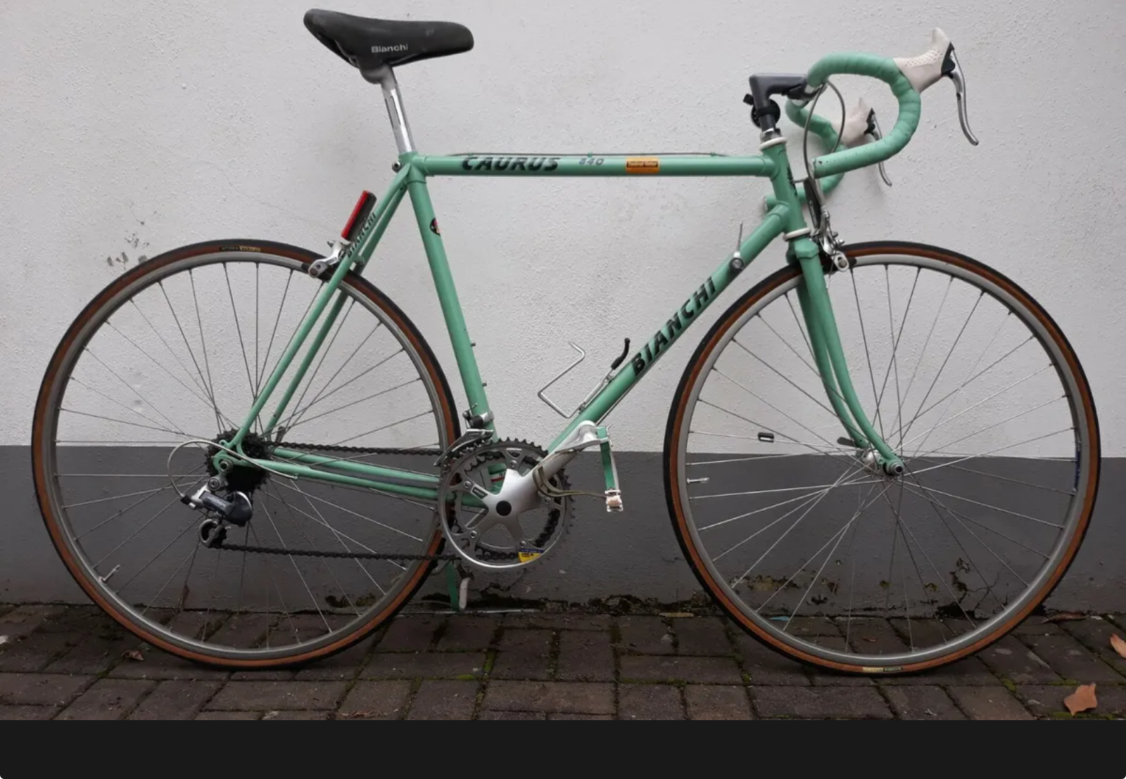bianchi caurus.png
