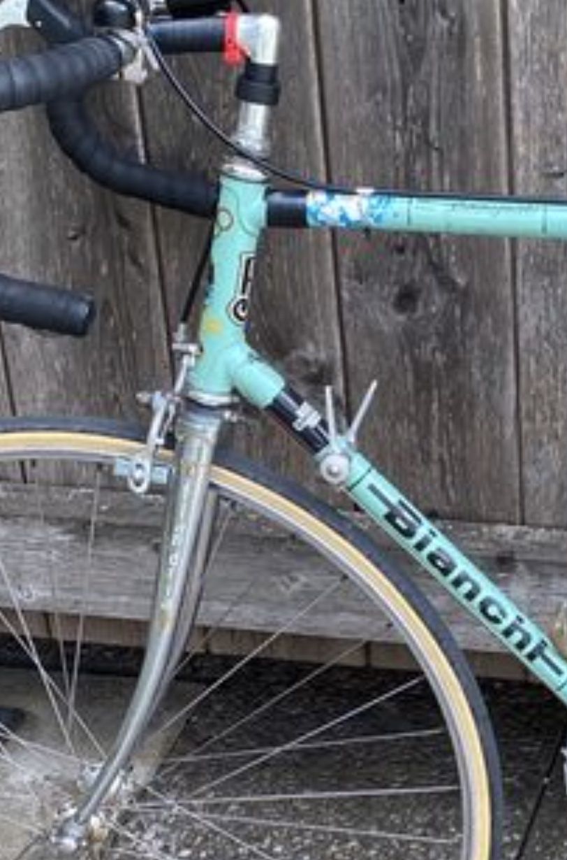 bianchi2.jpg