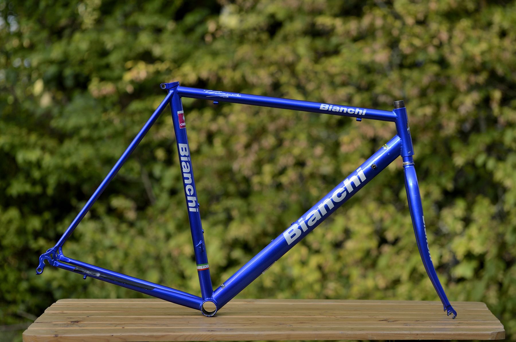 Bianchi_01.JPG