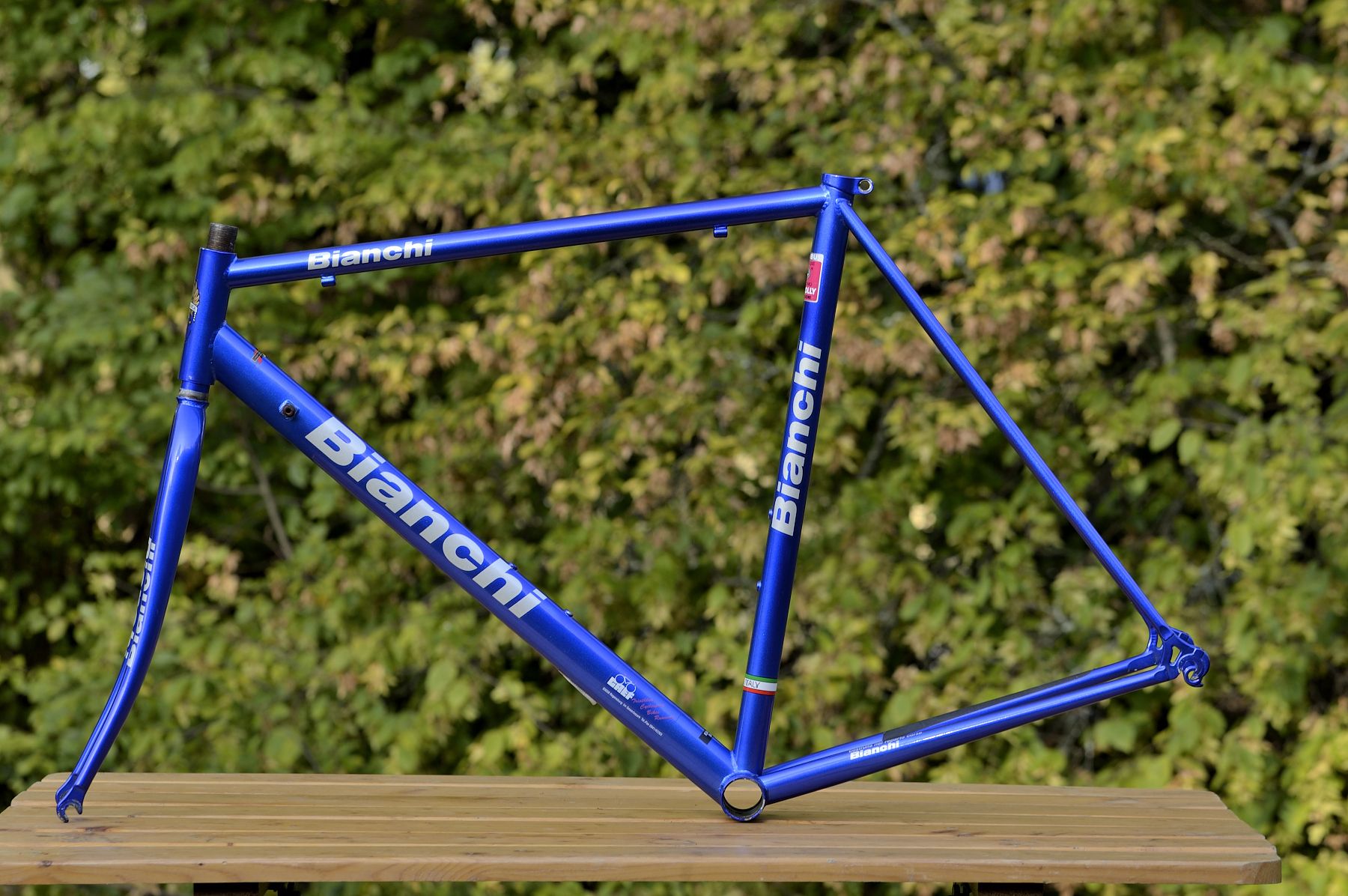 Bianchi_04.JPG