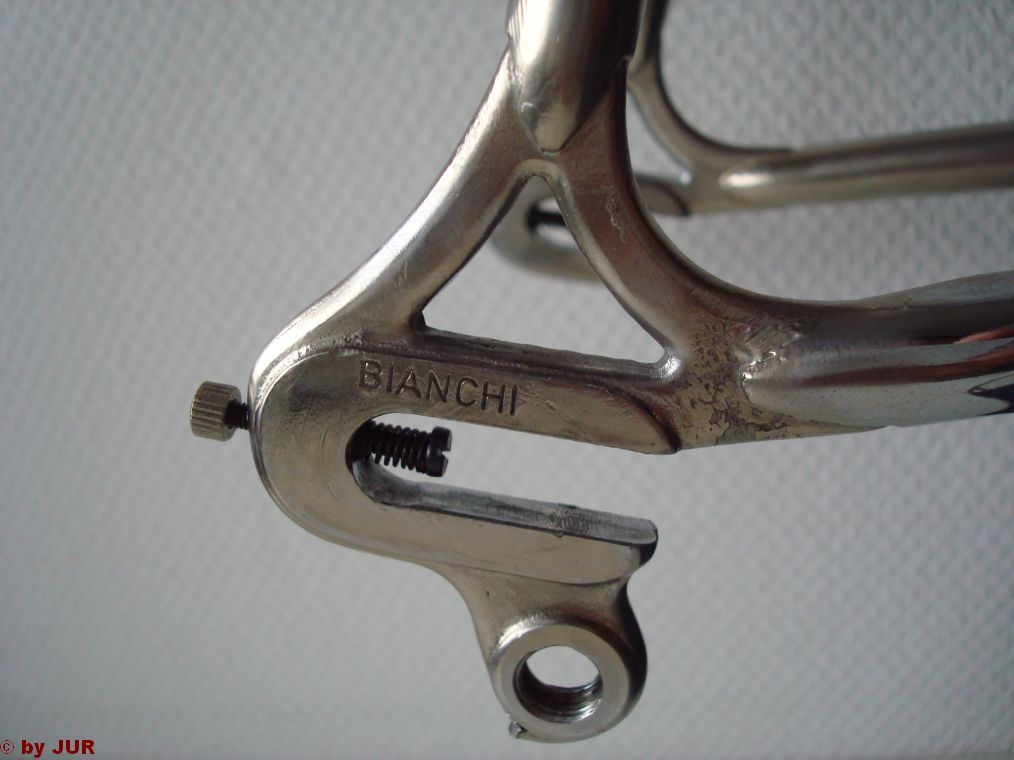 BianchiAusfallende.jpg