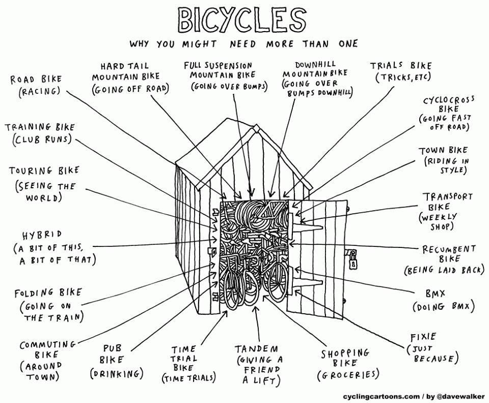bicycles - why you might need more than one.jpg