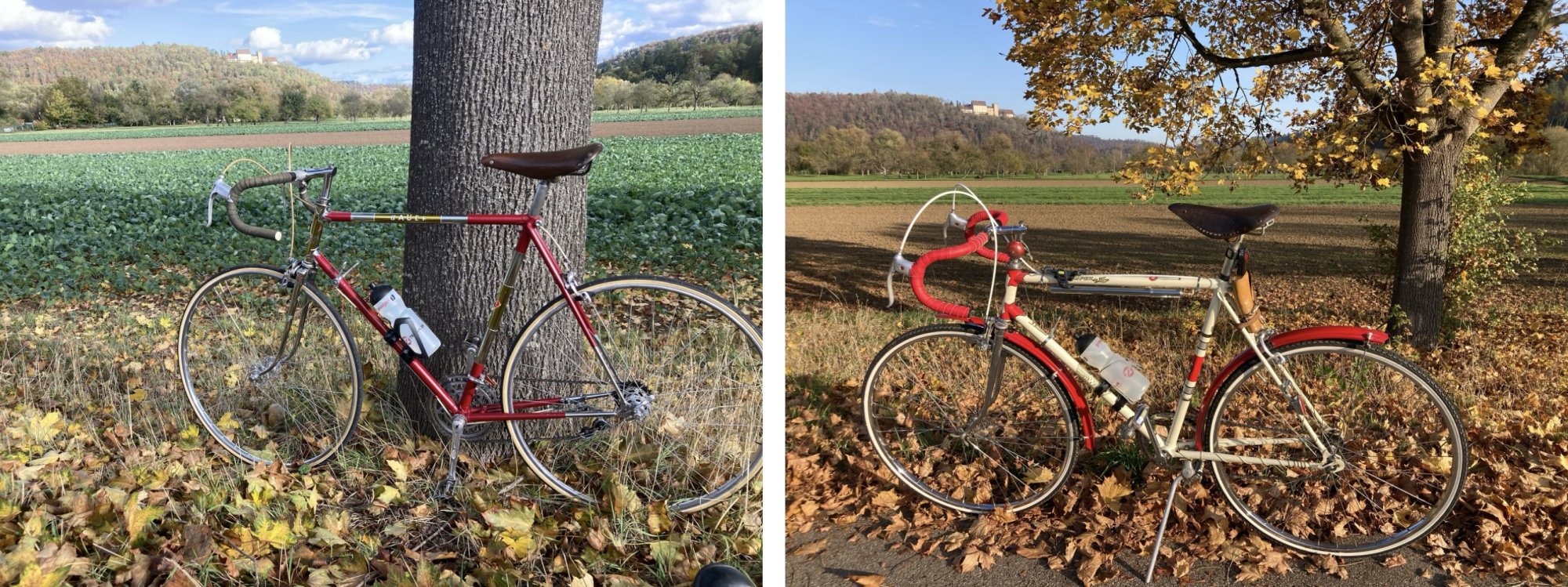 Bild 14.11.25 um 16.48.jpeg