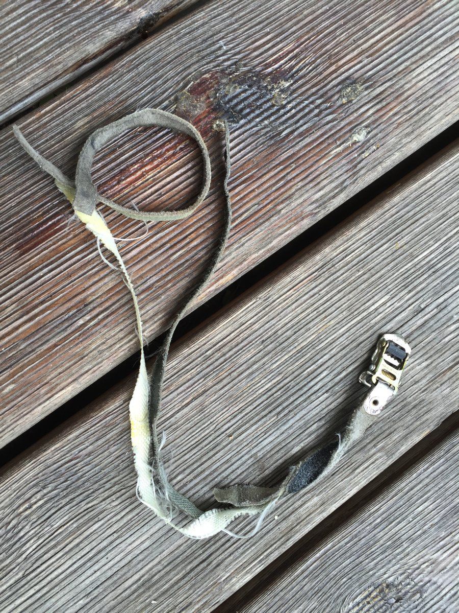 Bild 4.jpg