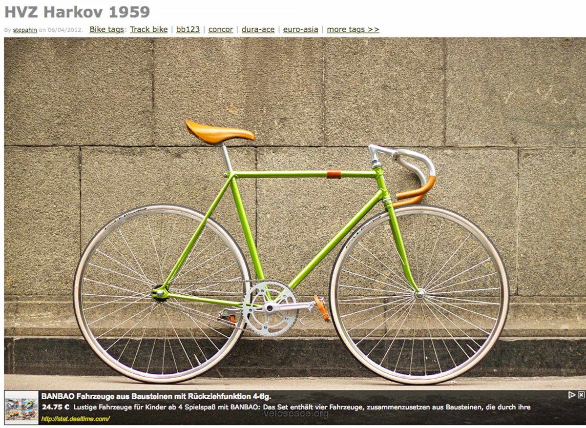 Bild-9.jpg