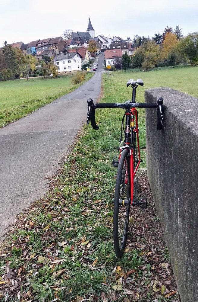 bild1.jpg