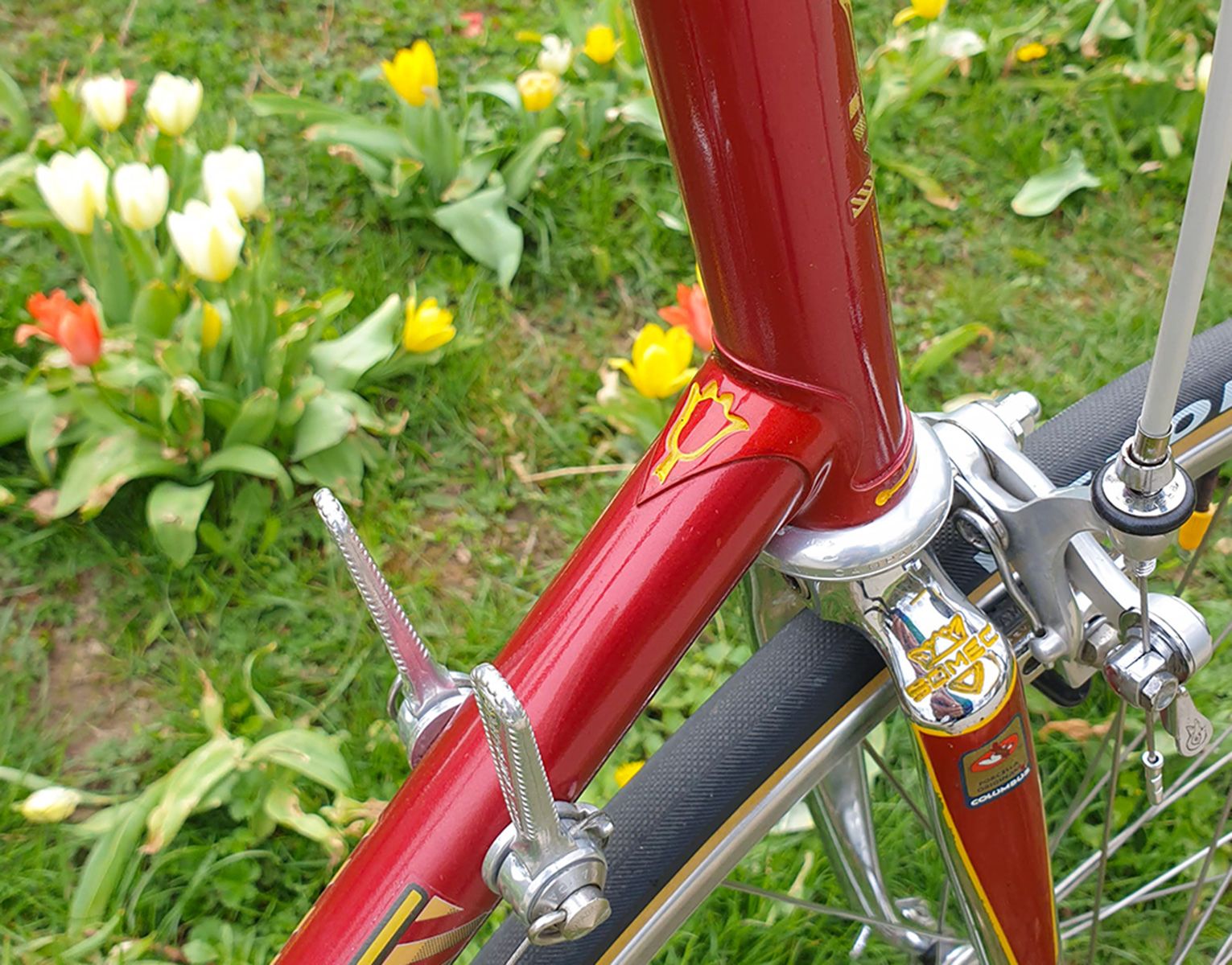 Bild1.jpg
