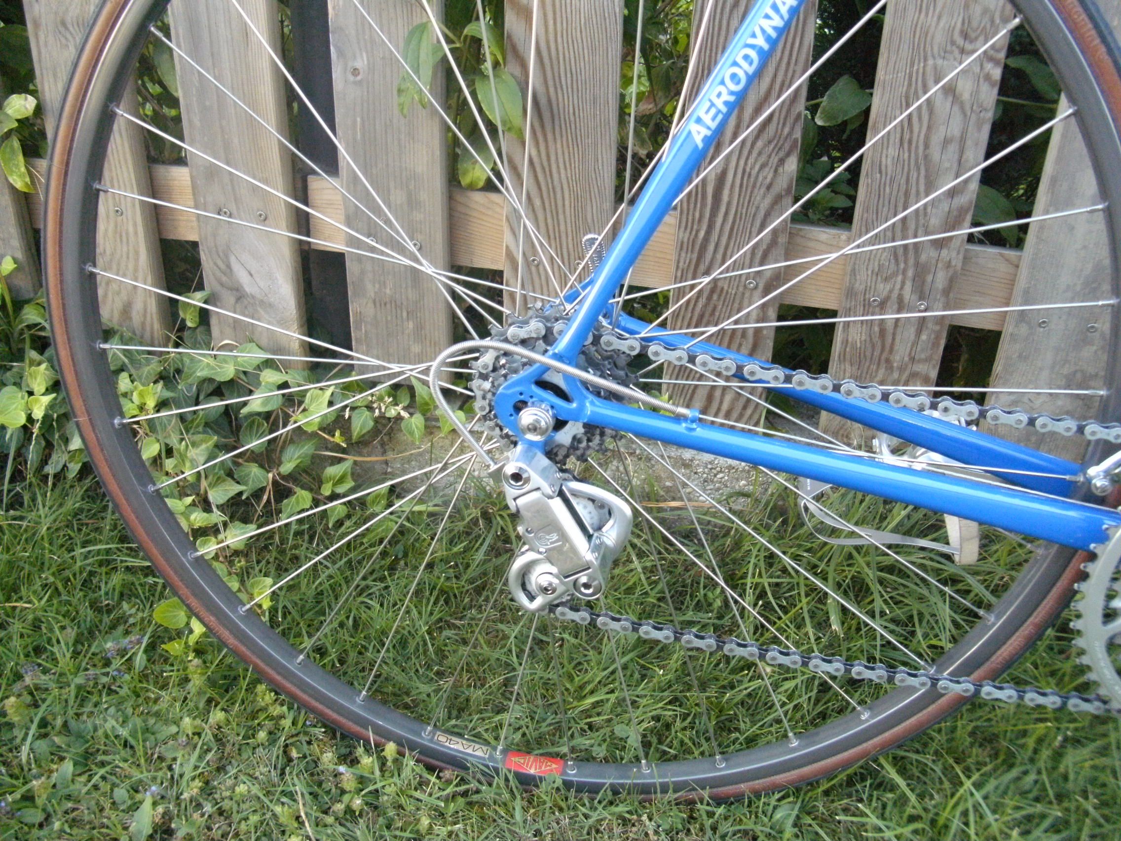 BILD1181.JPG