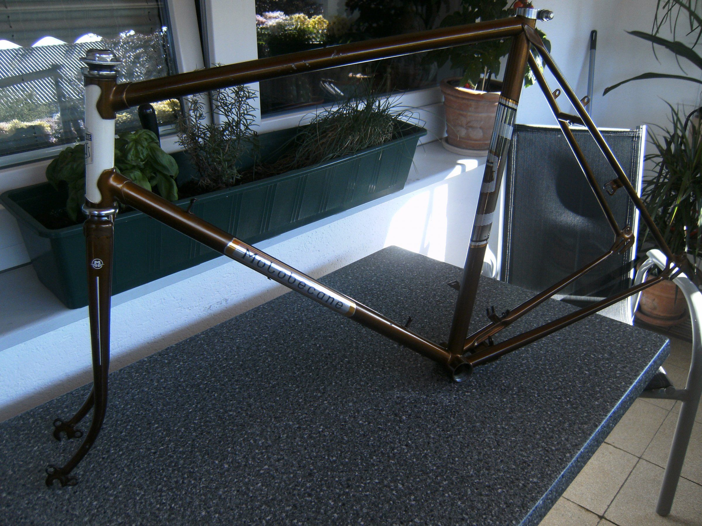 BILD1199.JPG