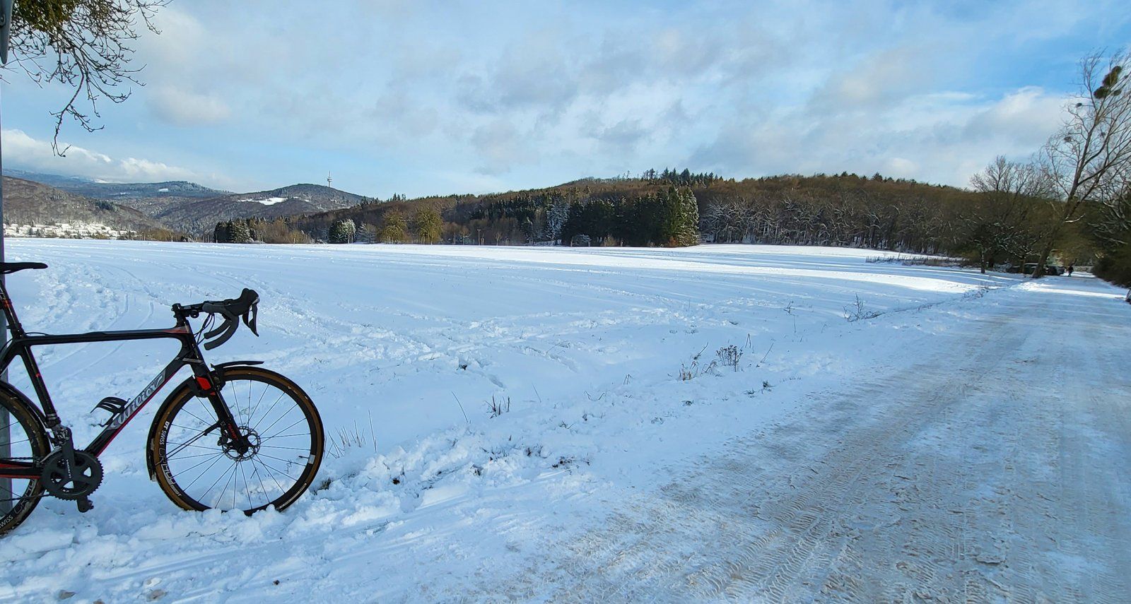 Bild2.jpg
