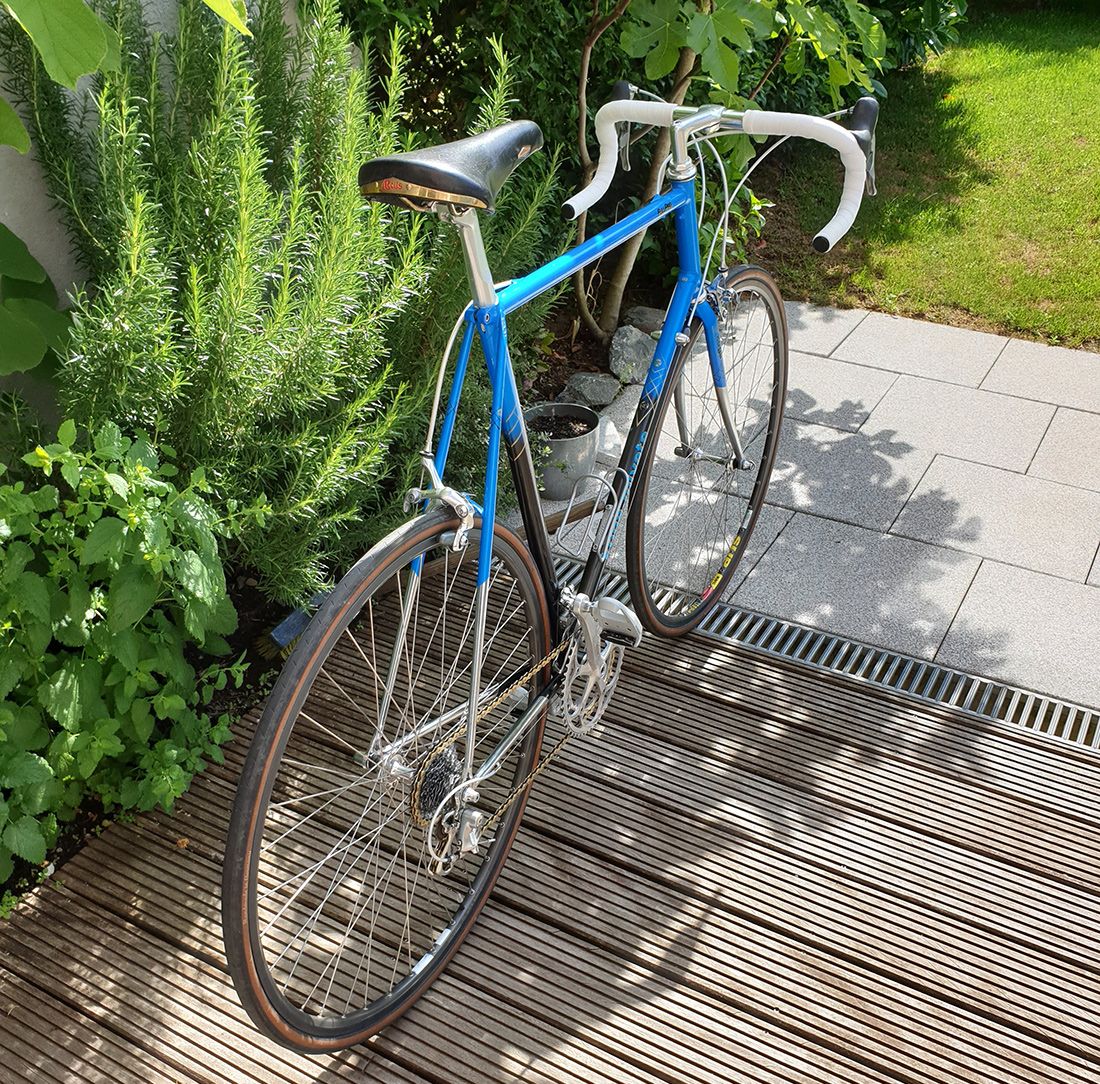 Bild2.jpg