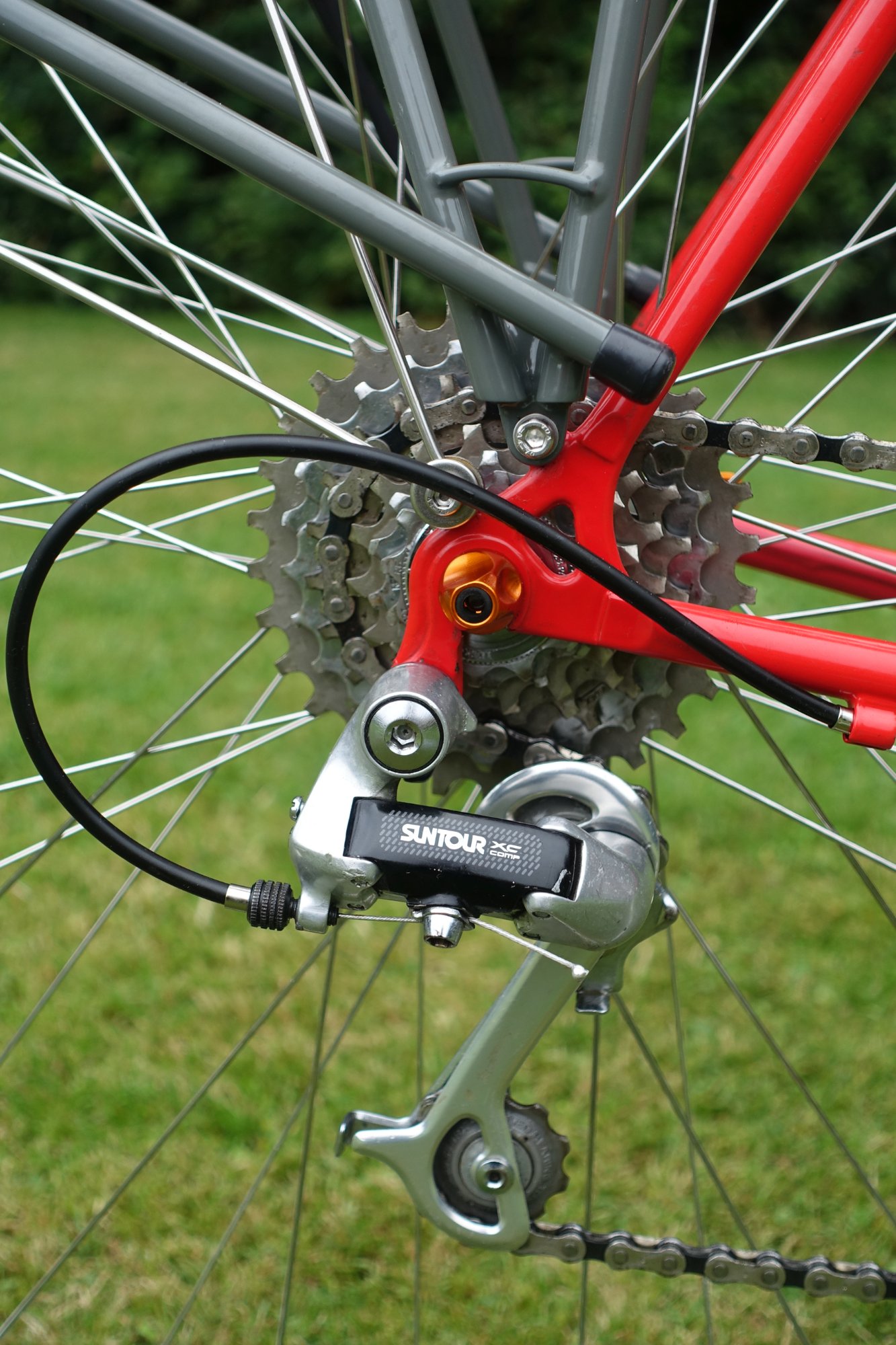 BioRacer03.jpg