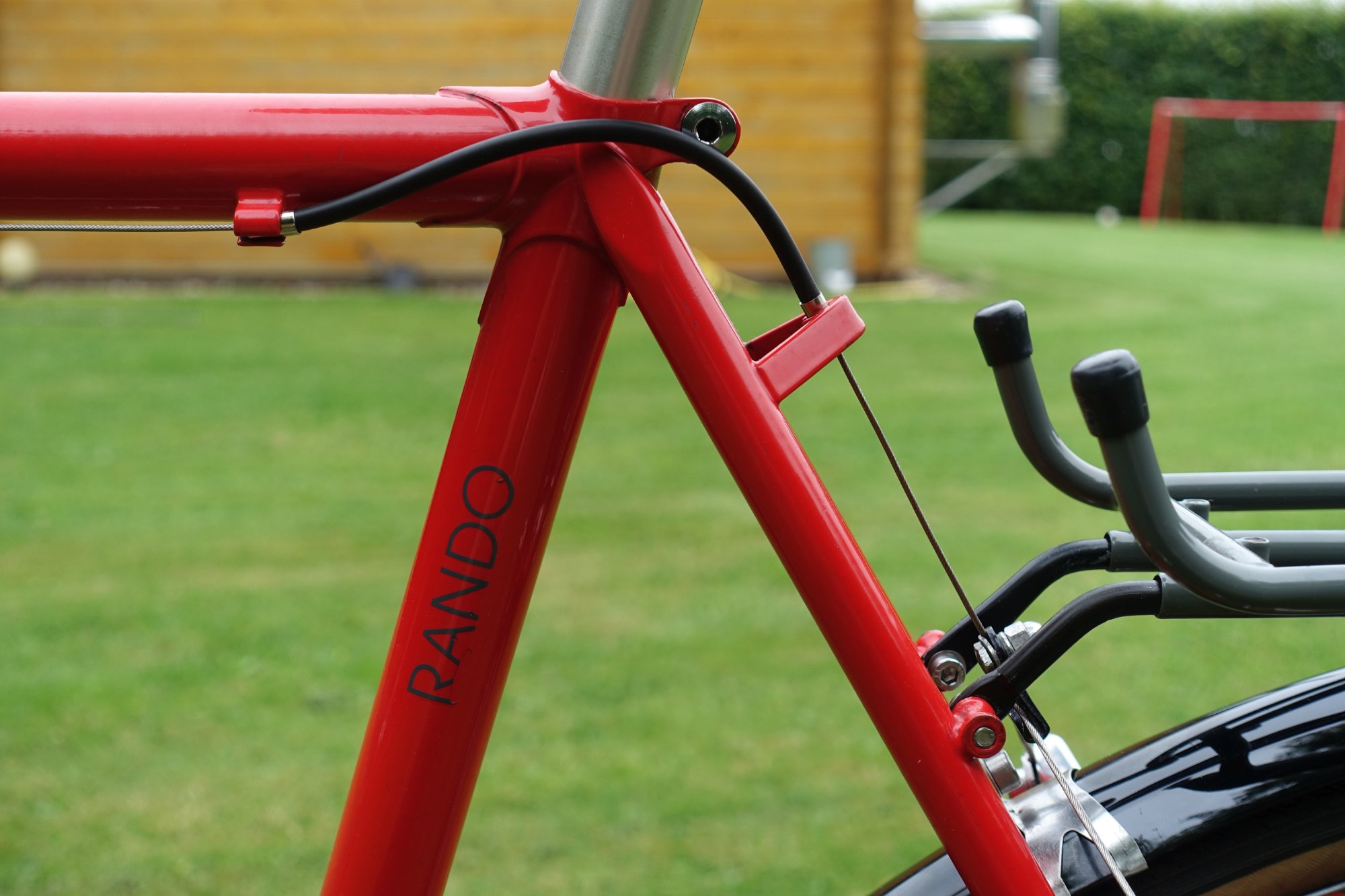 BioRacer06.jpg