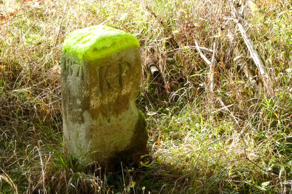 Birkenhainer 07.jpg