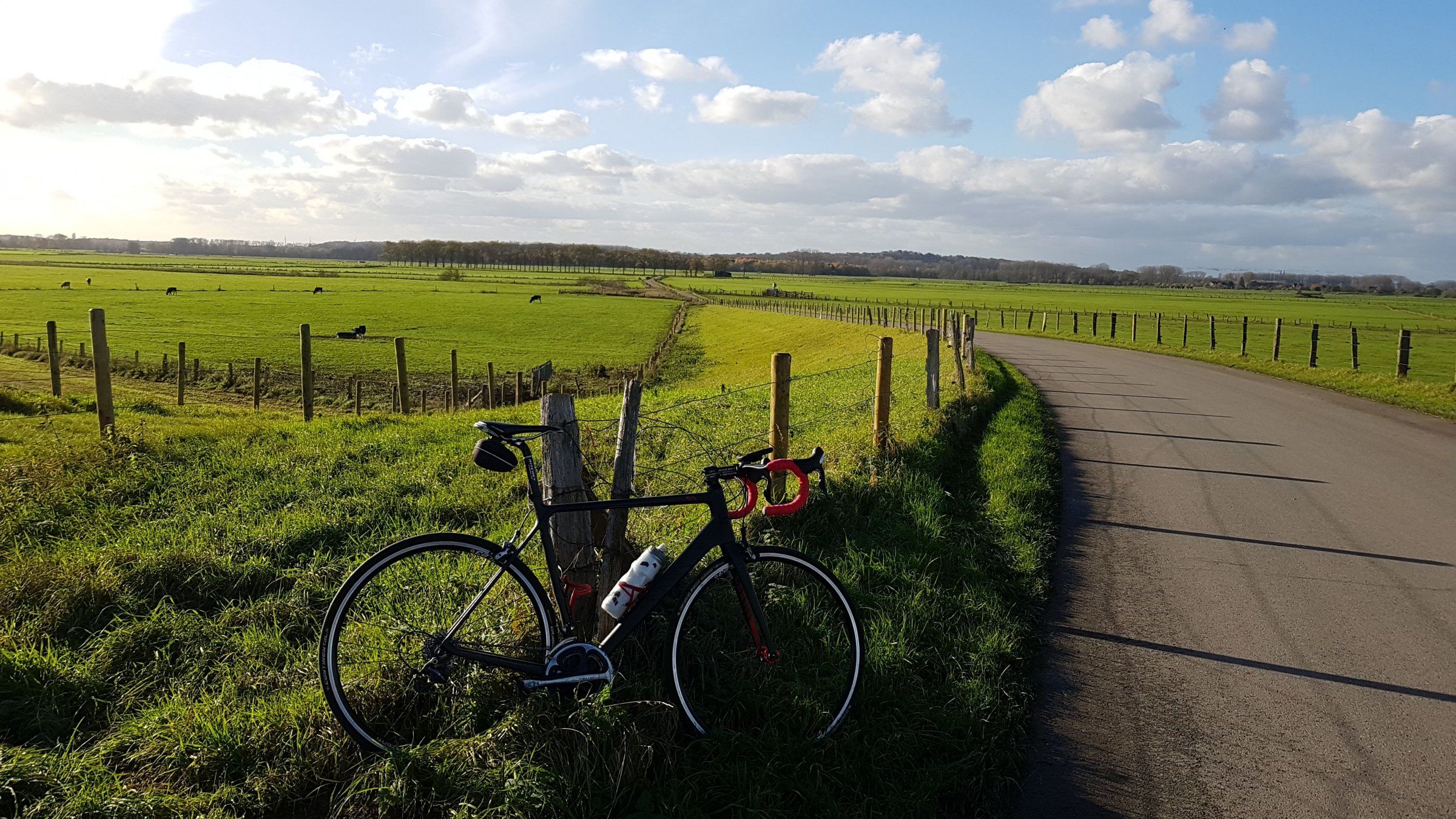 Bislicher Insel.jpeg