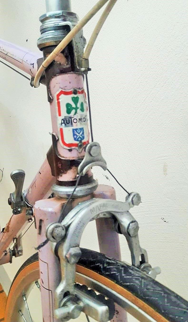 BJBR3038.JPG