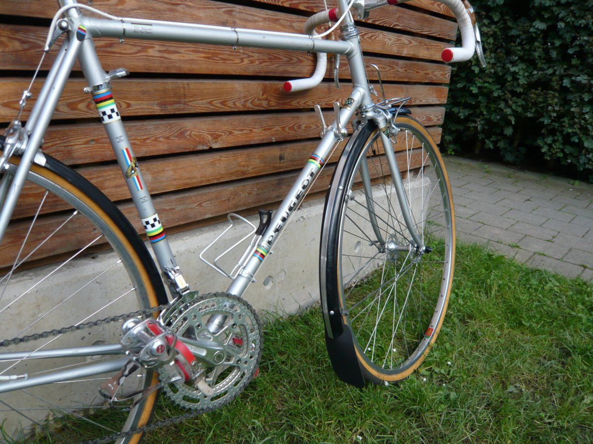 Blümels3.JPG