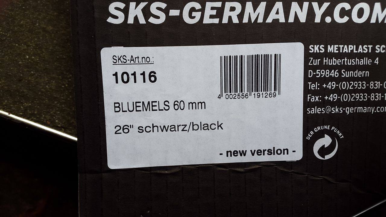Bluemels26_2.jpg