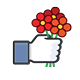 Blumen in der Hand.png