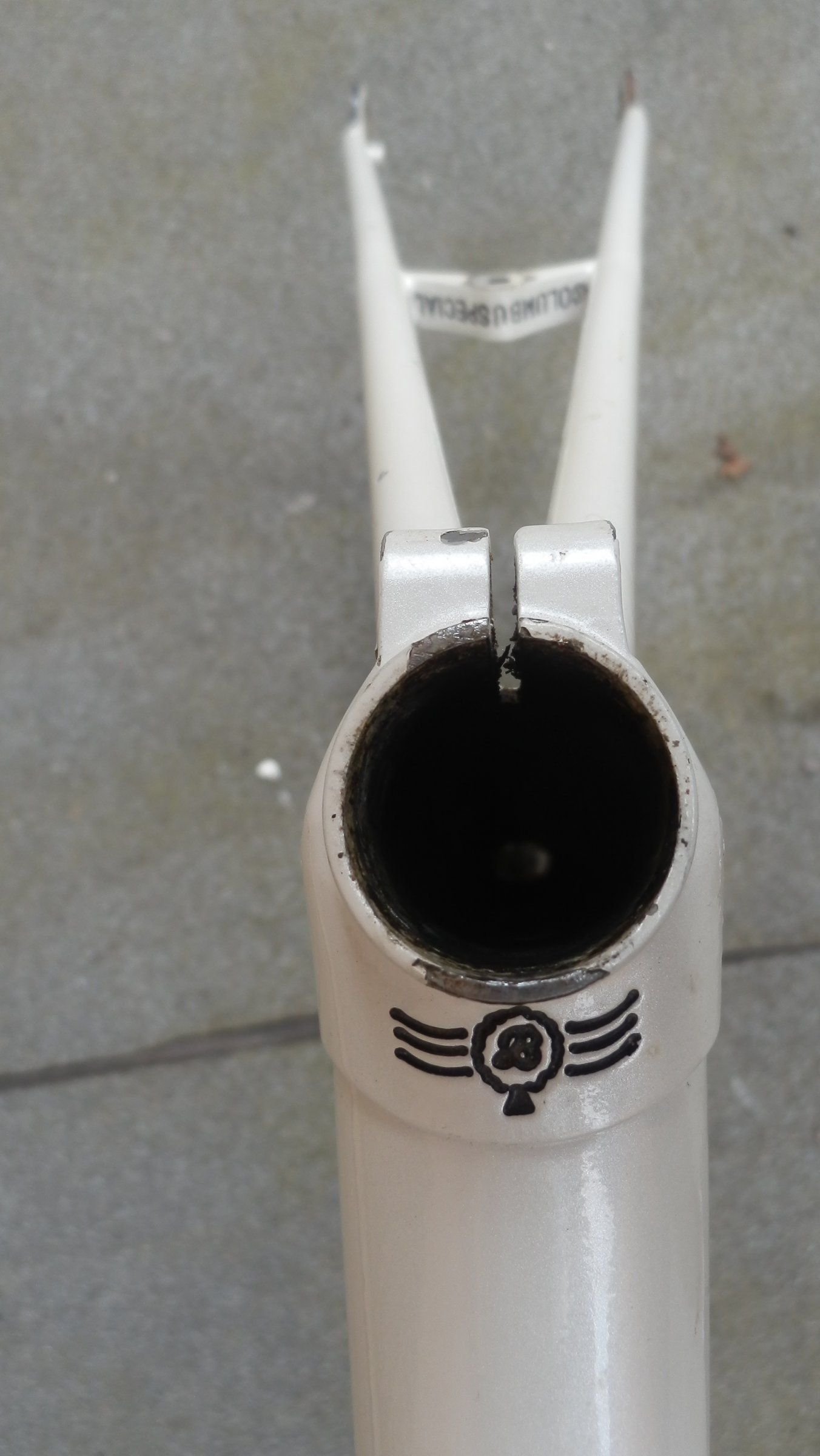 Boschetti Super Vision missing oroginal fork ().jpg