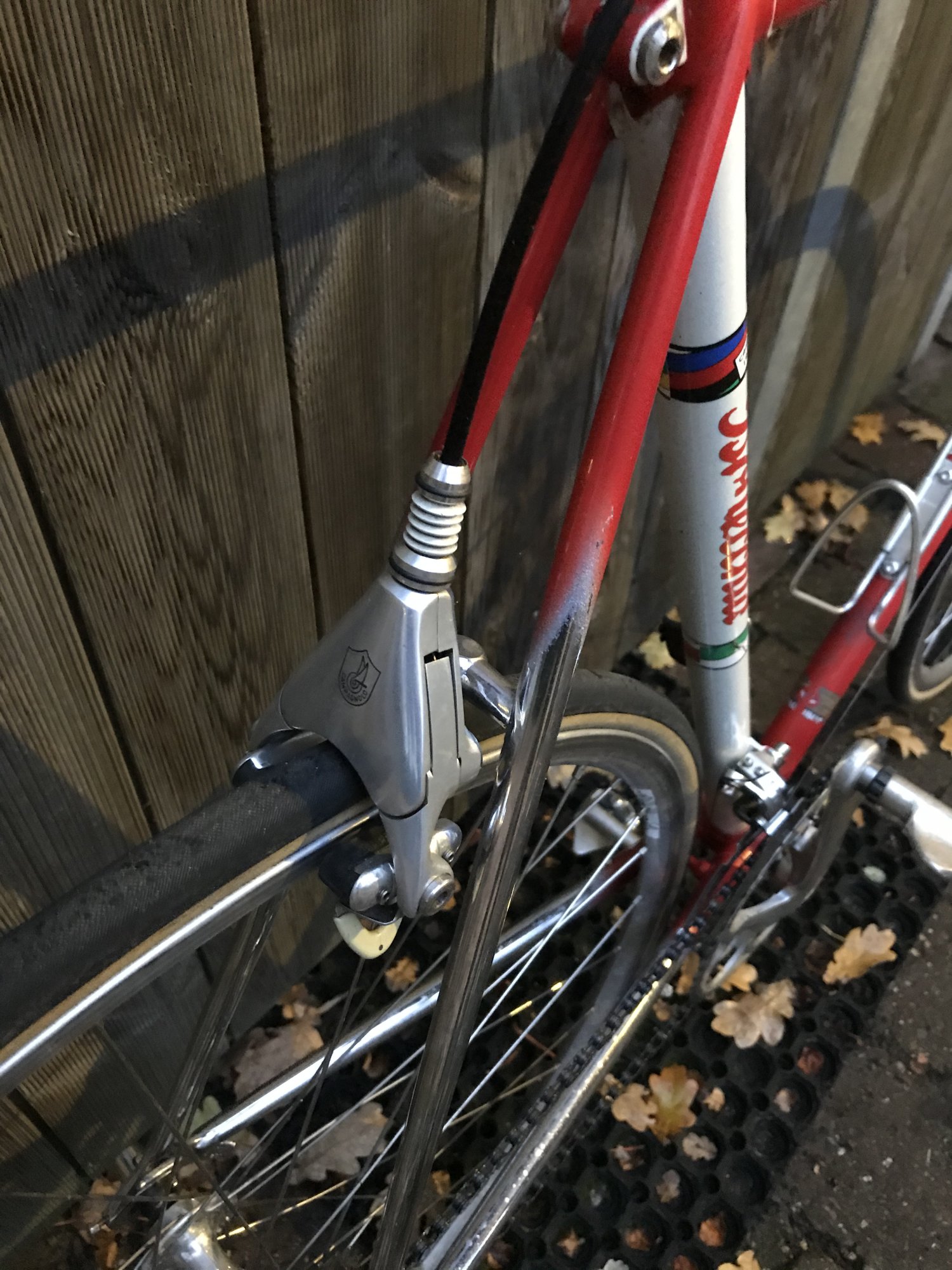 Bottecchia Campa Delta breakes.jpeg