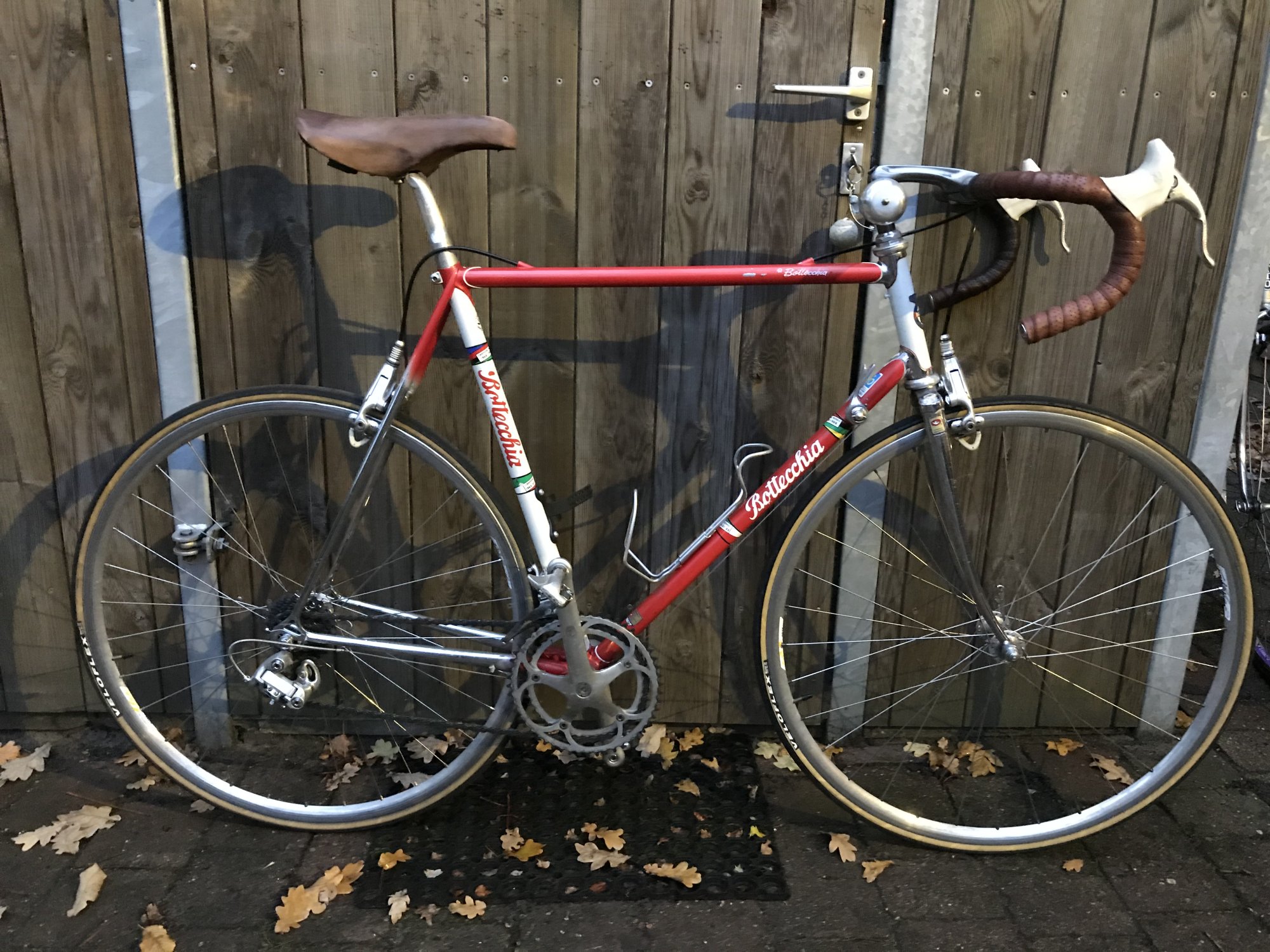 Bottechia equipe Campa C Record 1993.jpeg