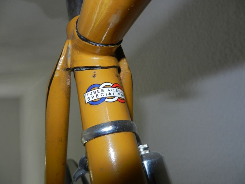 Brummer 003.jpg