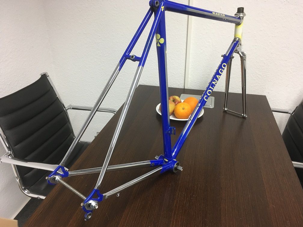 Buckler_MasterPiu_ rear.jpg
