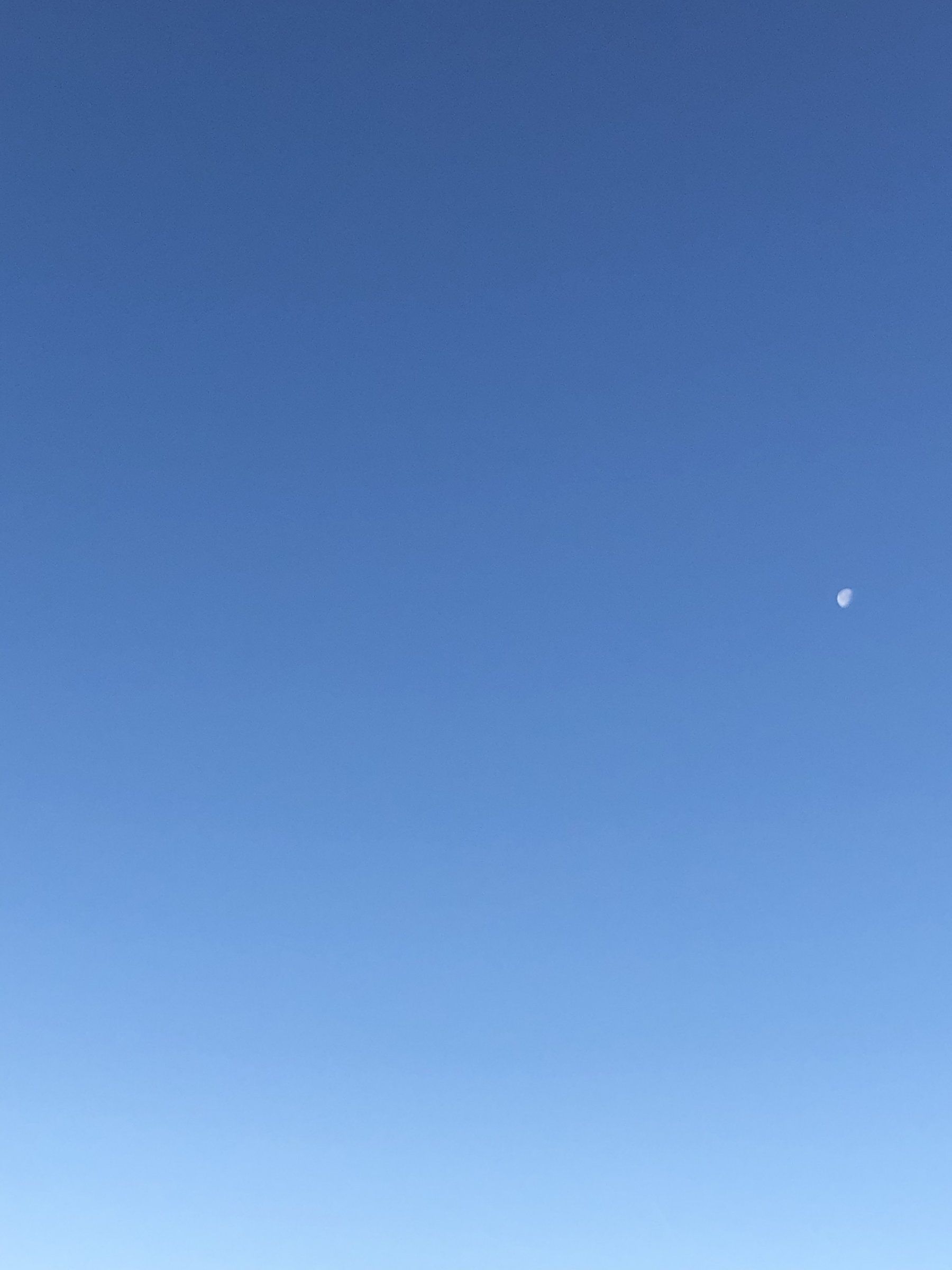 CAB48297-EEEB-439D-A970-ACFB74BCE6AA.jpeg