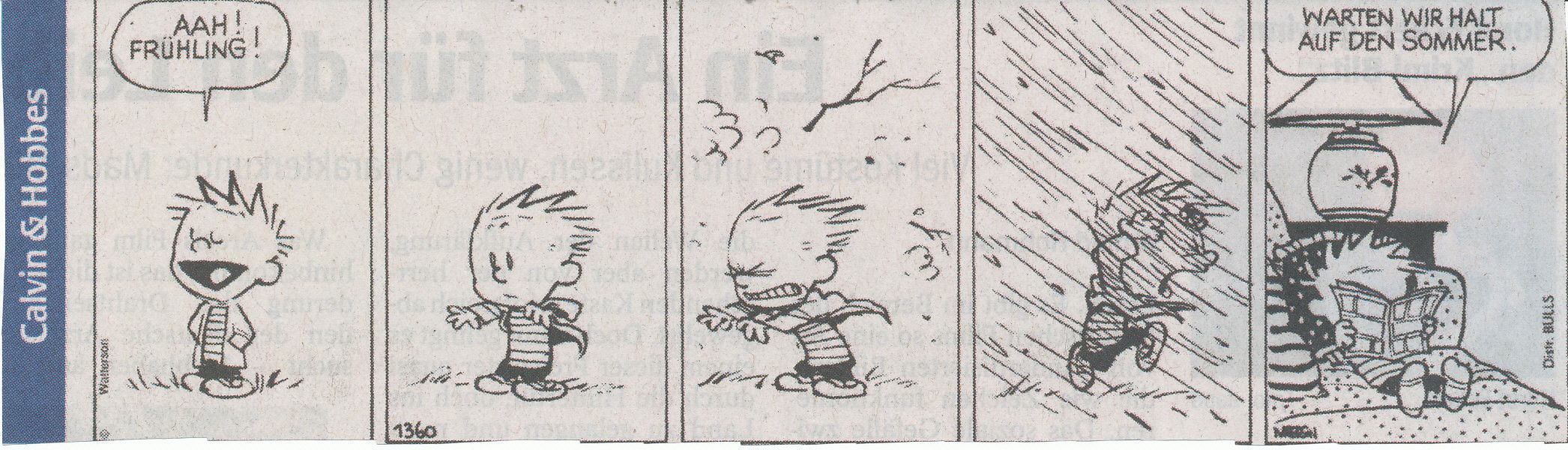 Calvin.jpg