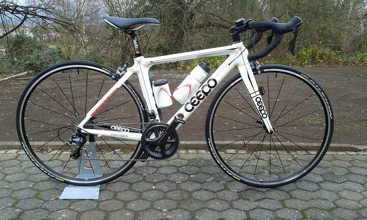 Ceepo.jpg