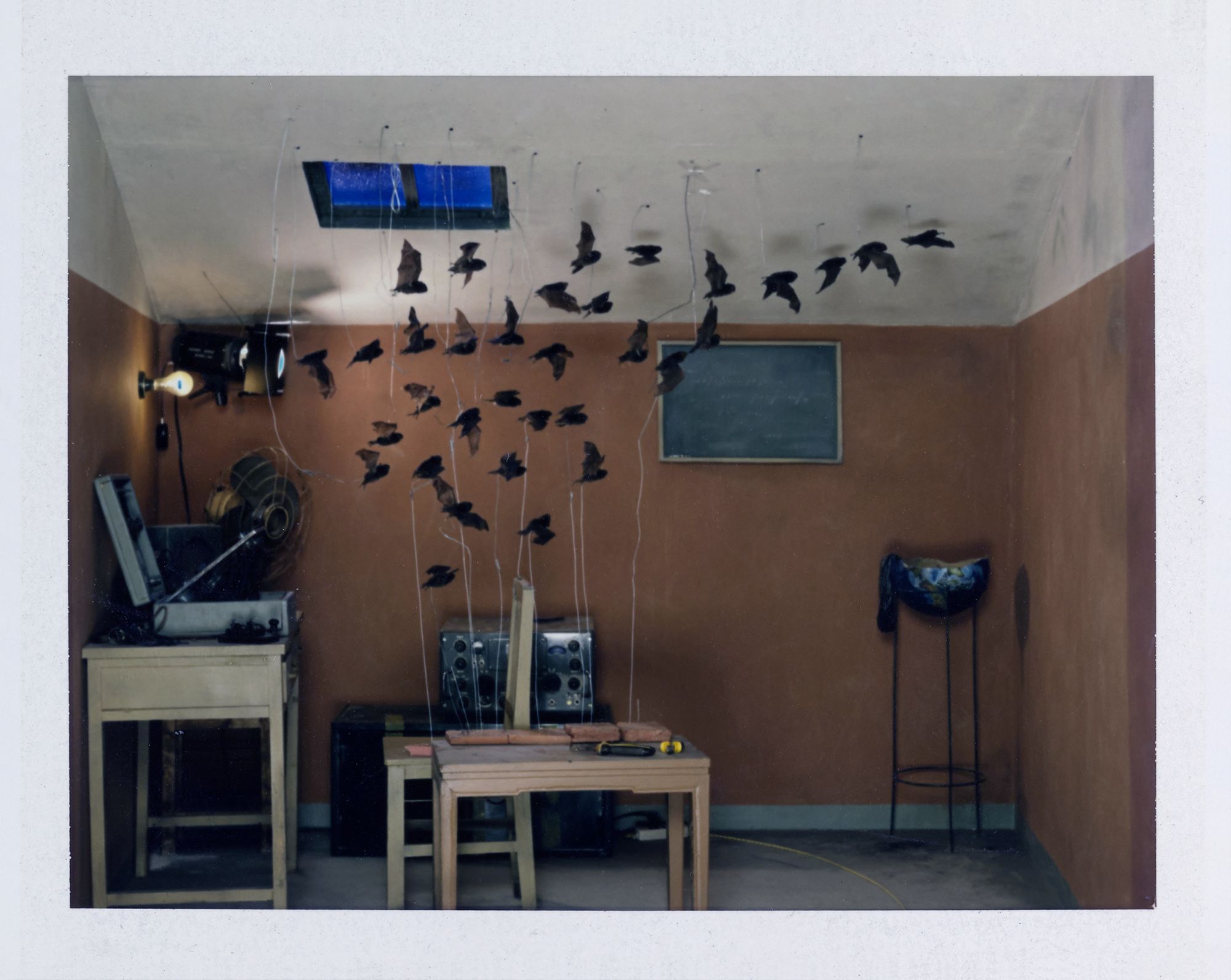 Chen Wei - Everlasting Radio Wave-Test #52008 (Fujifilm FP-100C 8.5 x 10.8 cm).jpg