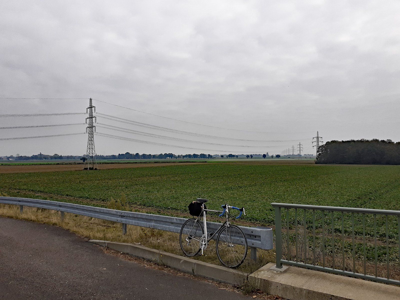 Chicoreefeld neben der ehemaligen Transitstraße.jpg