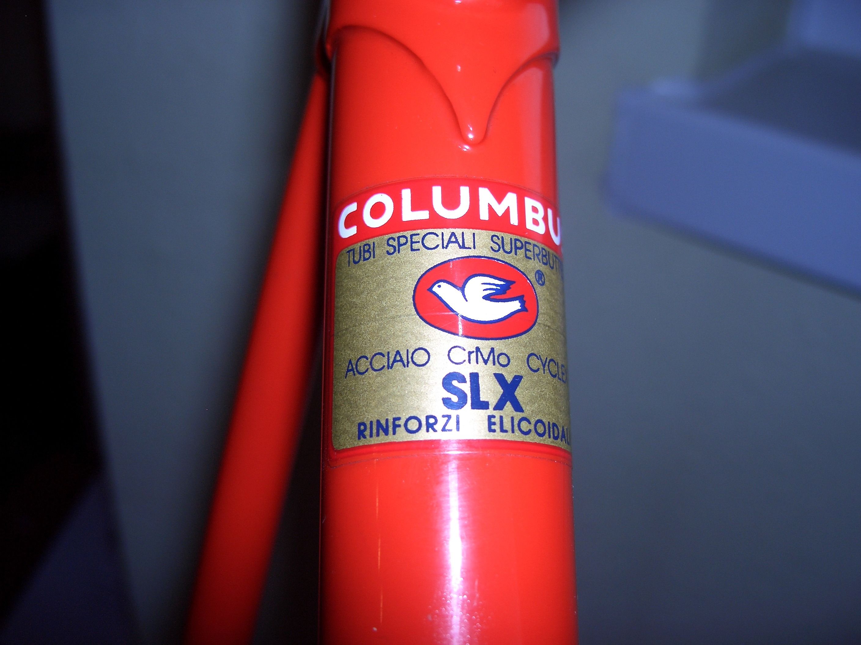 CIMG0900.jpg