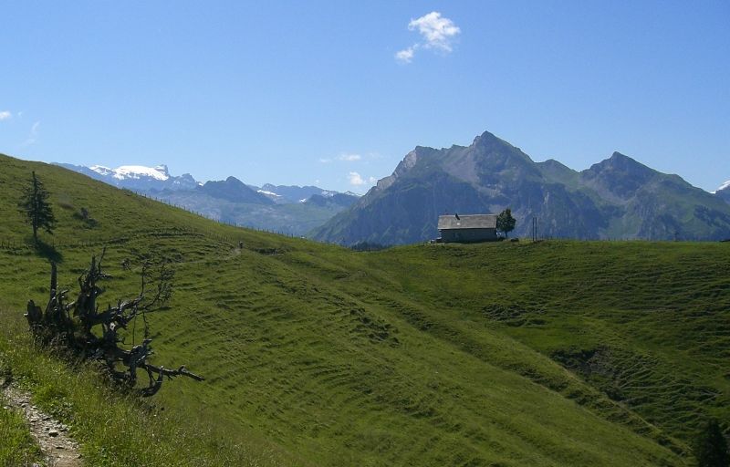 CIMG4184 (800x512).jpg