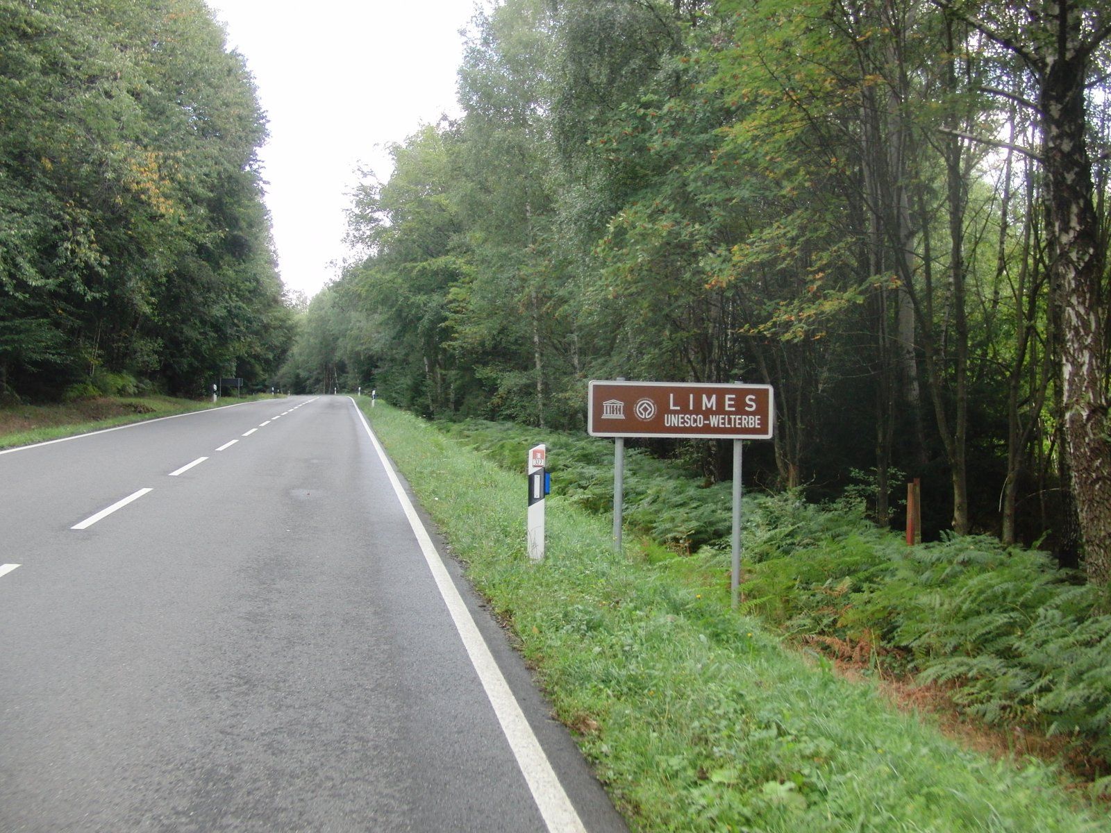 CIMG4805.JPG