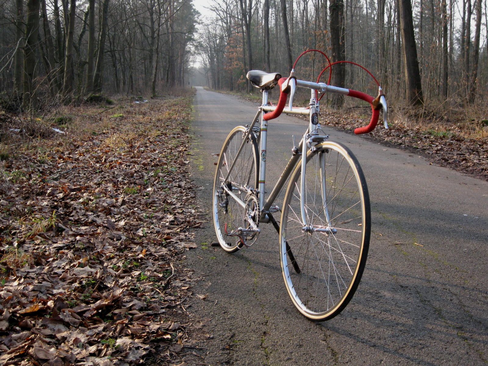 Cinelli B unterwegs.jpg